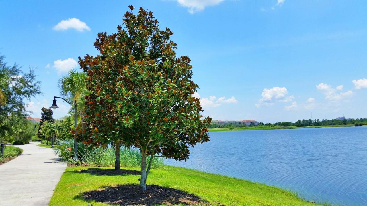 אורלנדו Lakeview Executive Penthouse מראה חיצוני תמונה